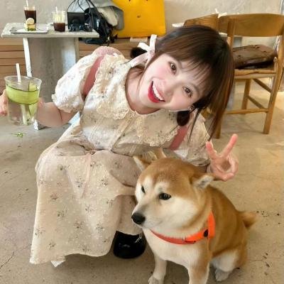 南方的愿望